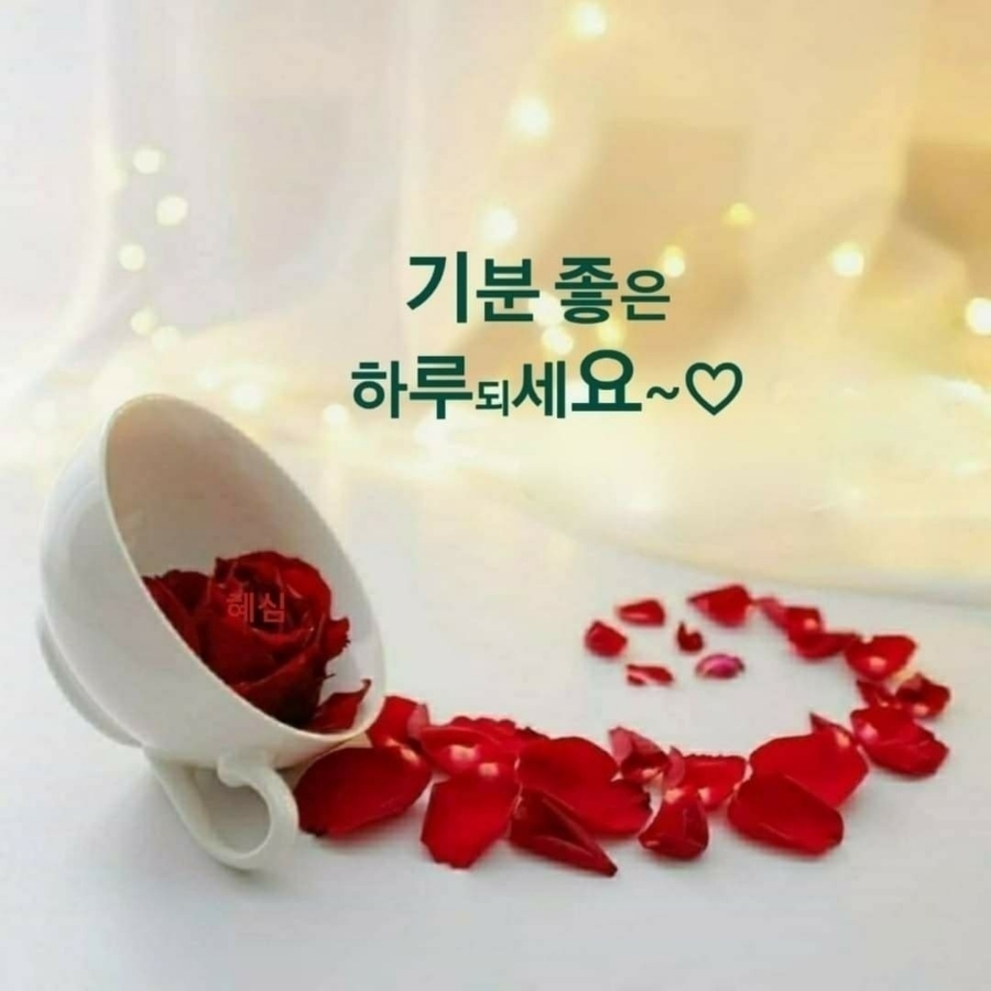 문커피스토리 이미지