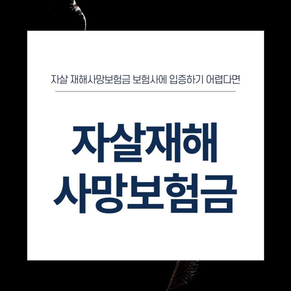 법무법인모악부안분사무소 이미지