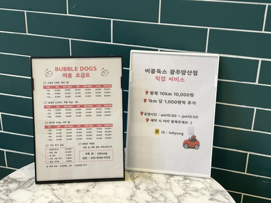 버블독스광주양산점 이미지