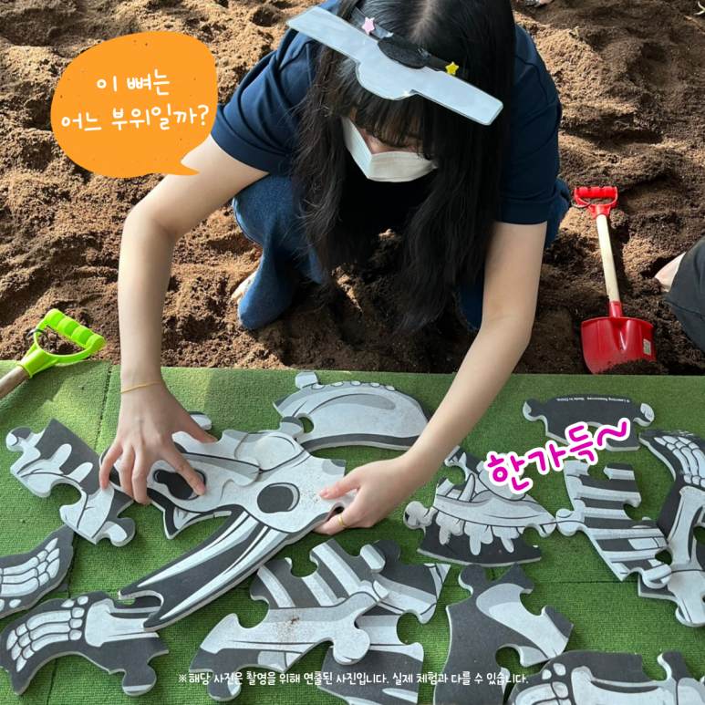 공룡탐험대 이미지