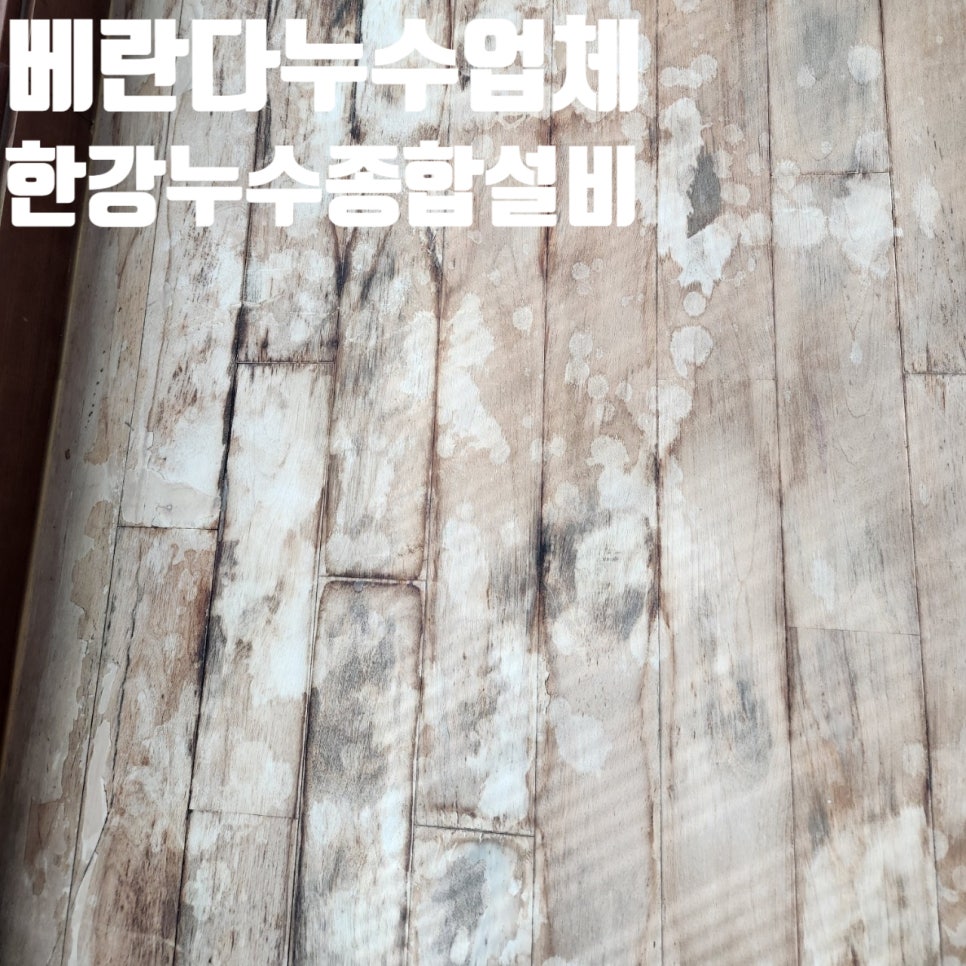 분당종합설비 이미지