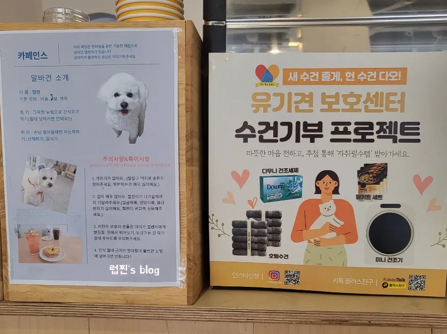 카페인스 이미지