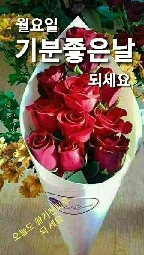 기분좋은날 이미지