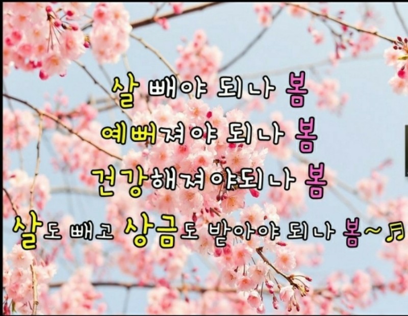 와와점핑다이어트 이미지