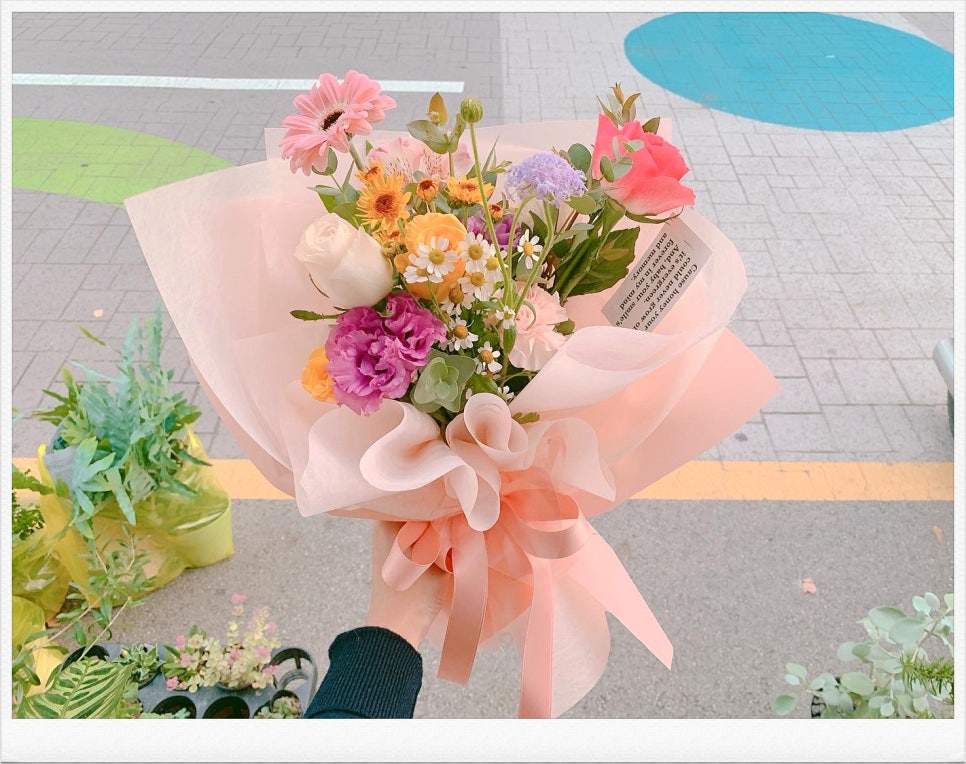 붉은산다화 이미지