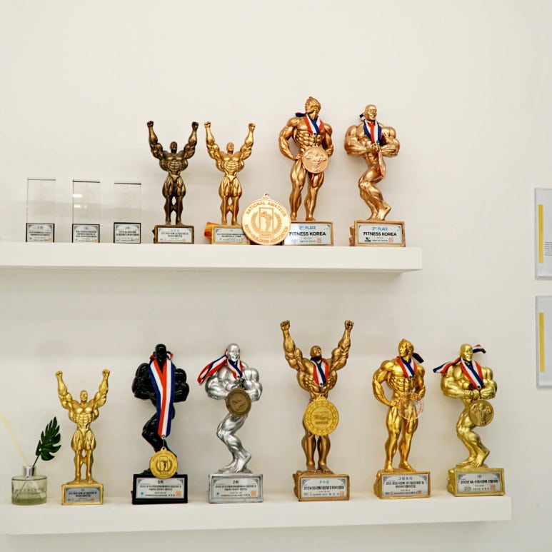 피티메이저 이미지