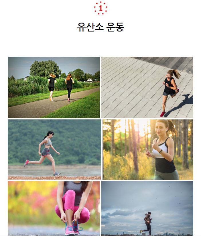 브로인제이 이미지