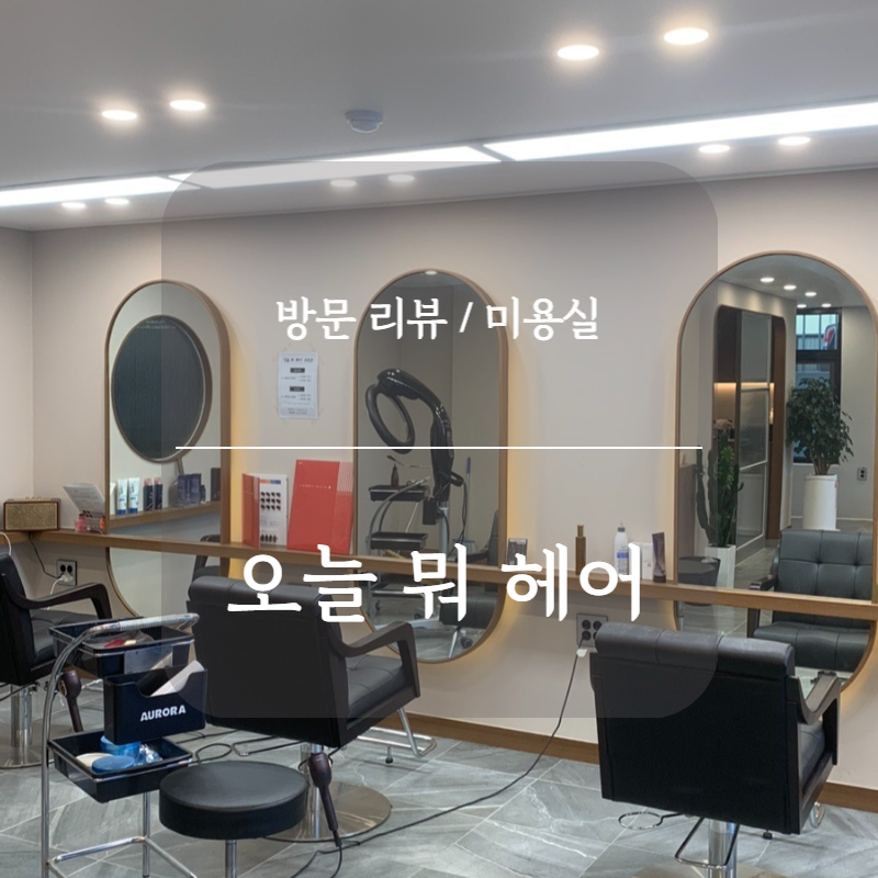 오늘뭐헤어 이미지