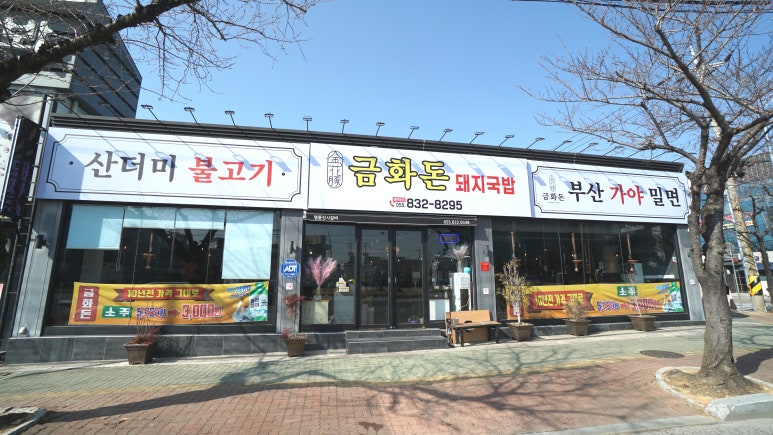 삼천포금화돈 이미지