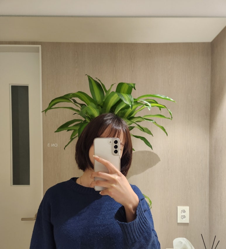왁스온 왁싱살롱 반포점 이미지
