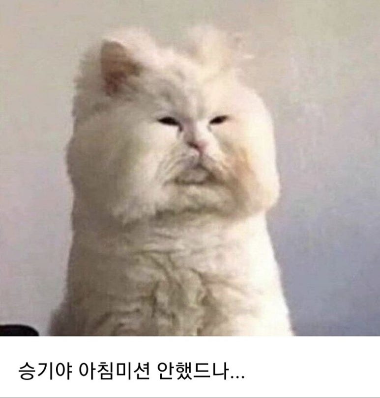 동네고양이 이미지
