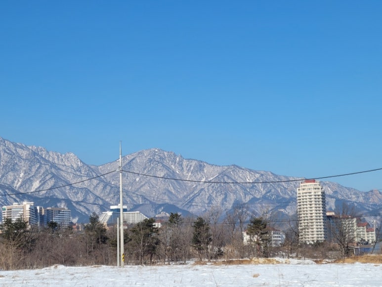 모드니숲 이미지