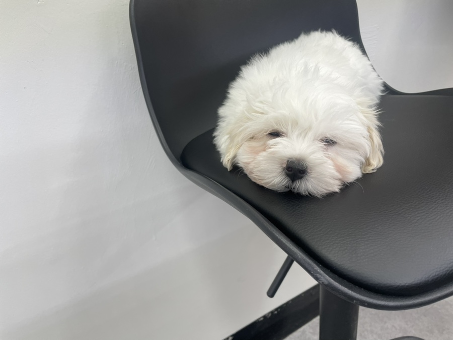 월드전자담배 이미지