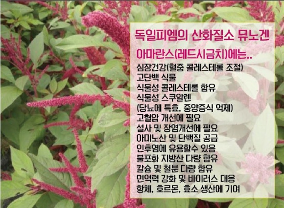 으뜸인터내셔널 이미지