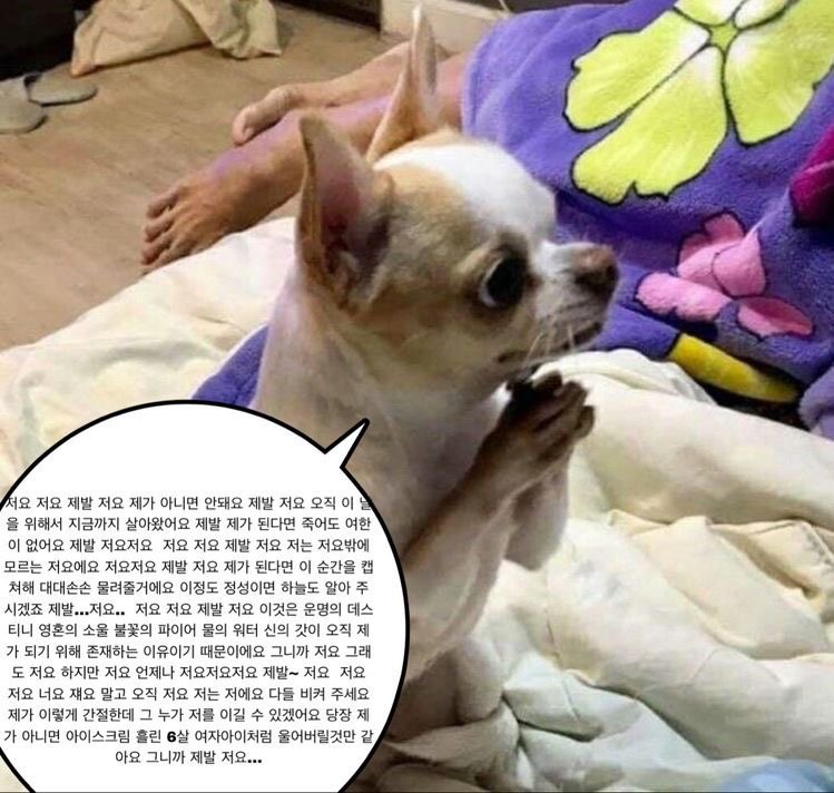 킵더빌리지 이미지