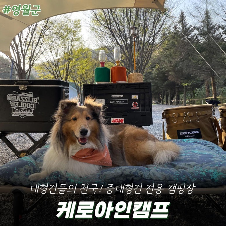 케로아인캠프 이미지