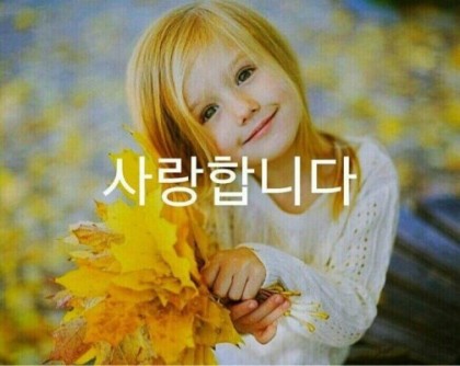 대경사 이미지
