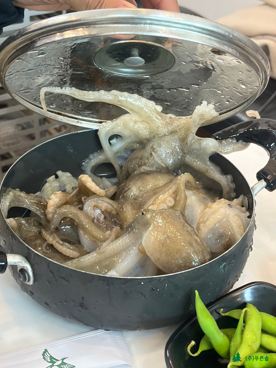 동백수산 이미지
