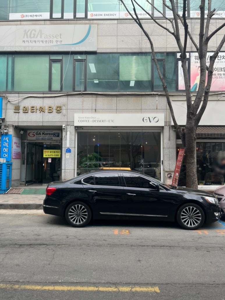 지브이오(GVO) 이미지