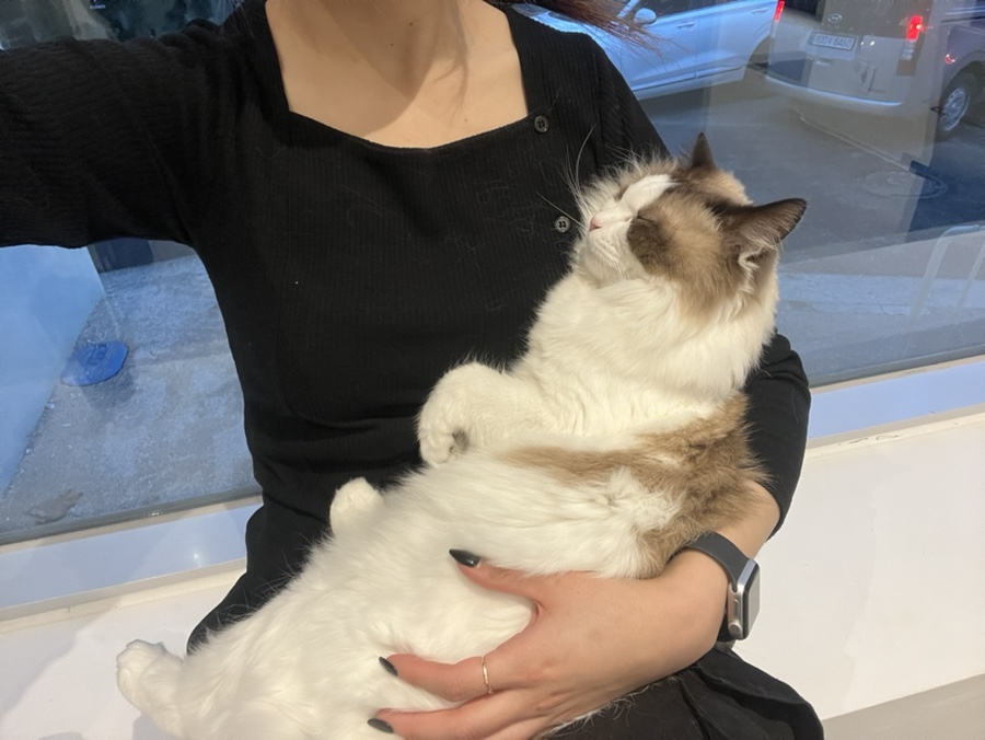 금연미용실 이미지