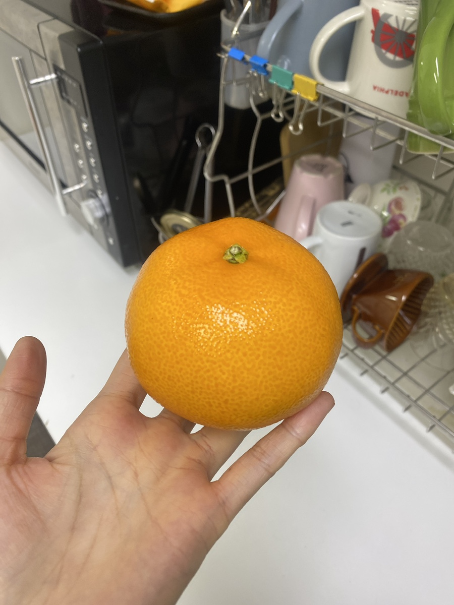 줄앤짐 이미지
