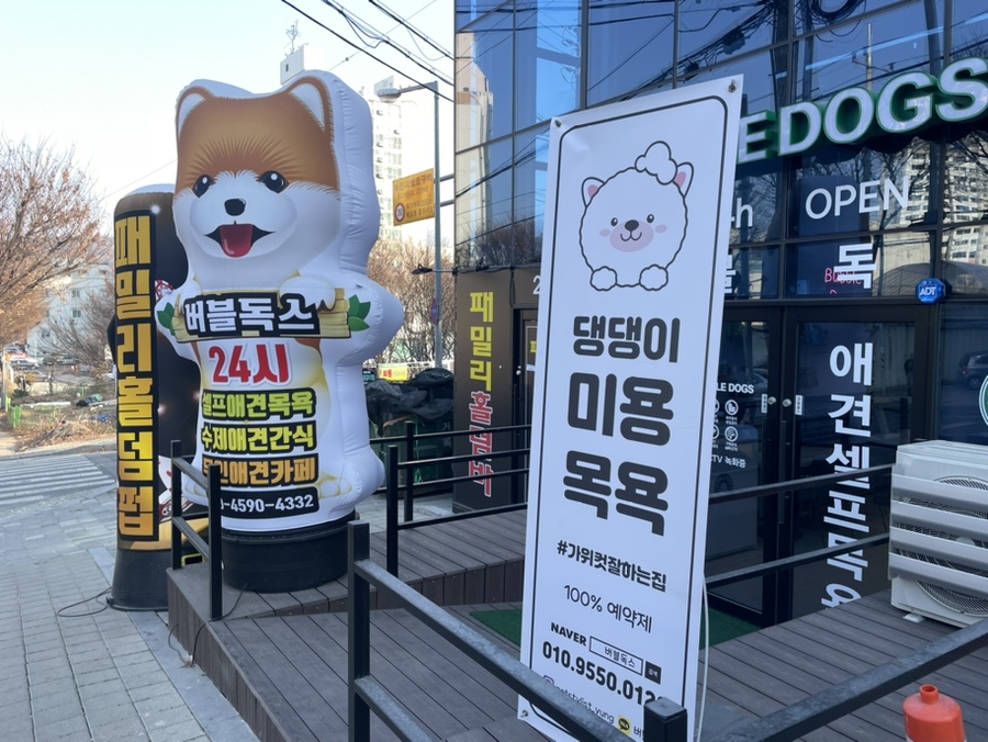 버블독스광주양산점 이미지