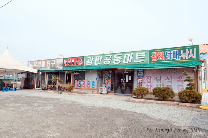 광판팔뚝김밥안산 이미지