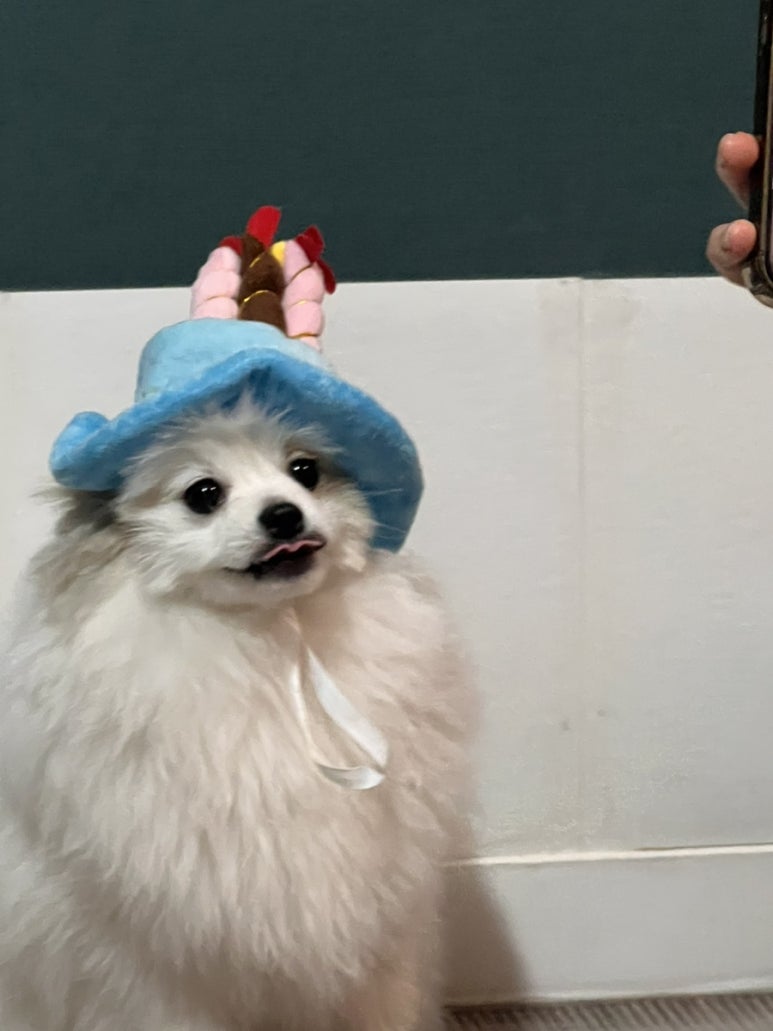 더마루 이미지