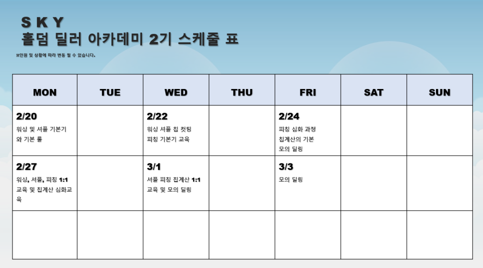 스카이홀덤 이미지