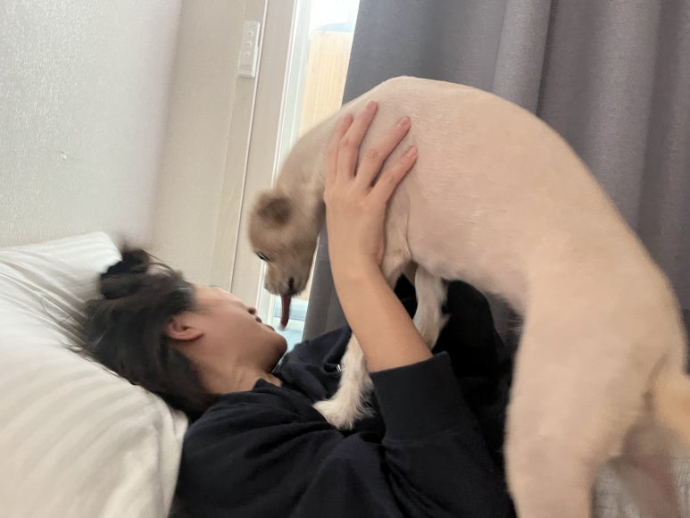 또와조아 이미지
