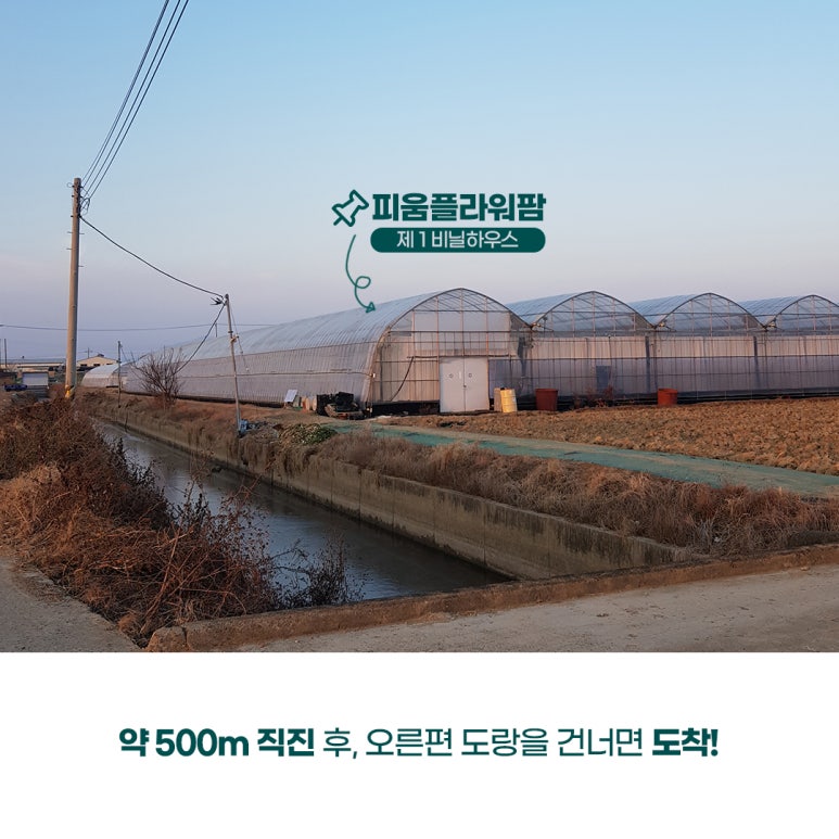 피움농장 이미지