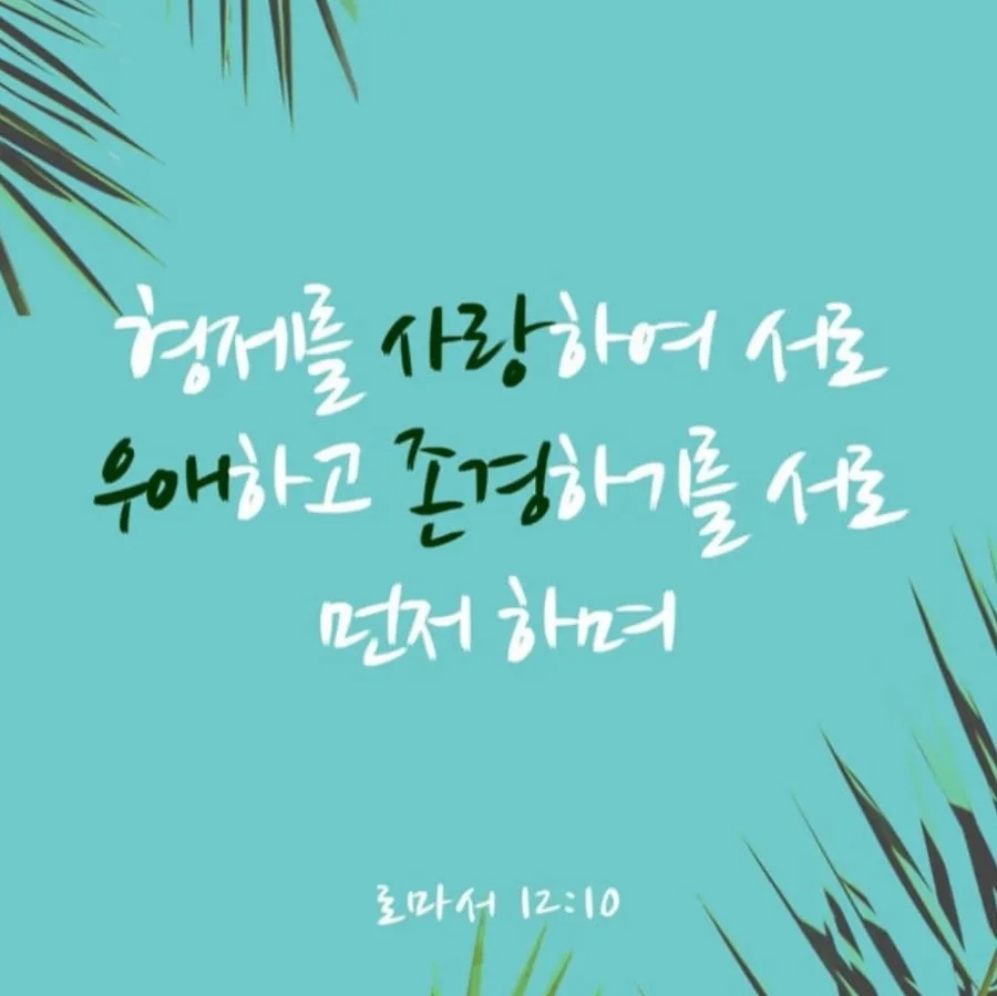 홍귤 이미지