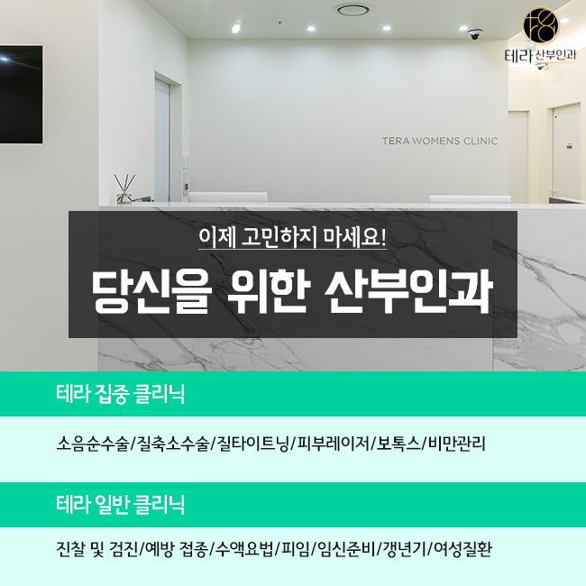테라화성 이미지