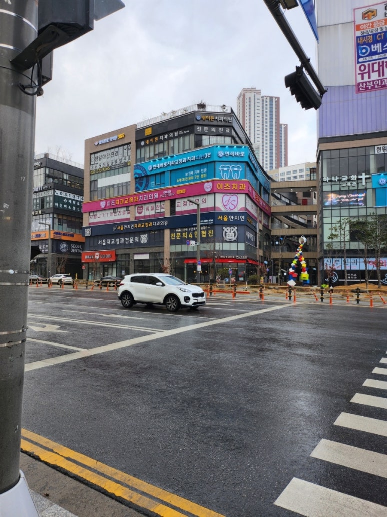 두리수선 이미지