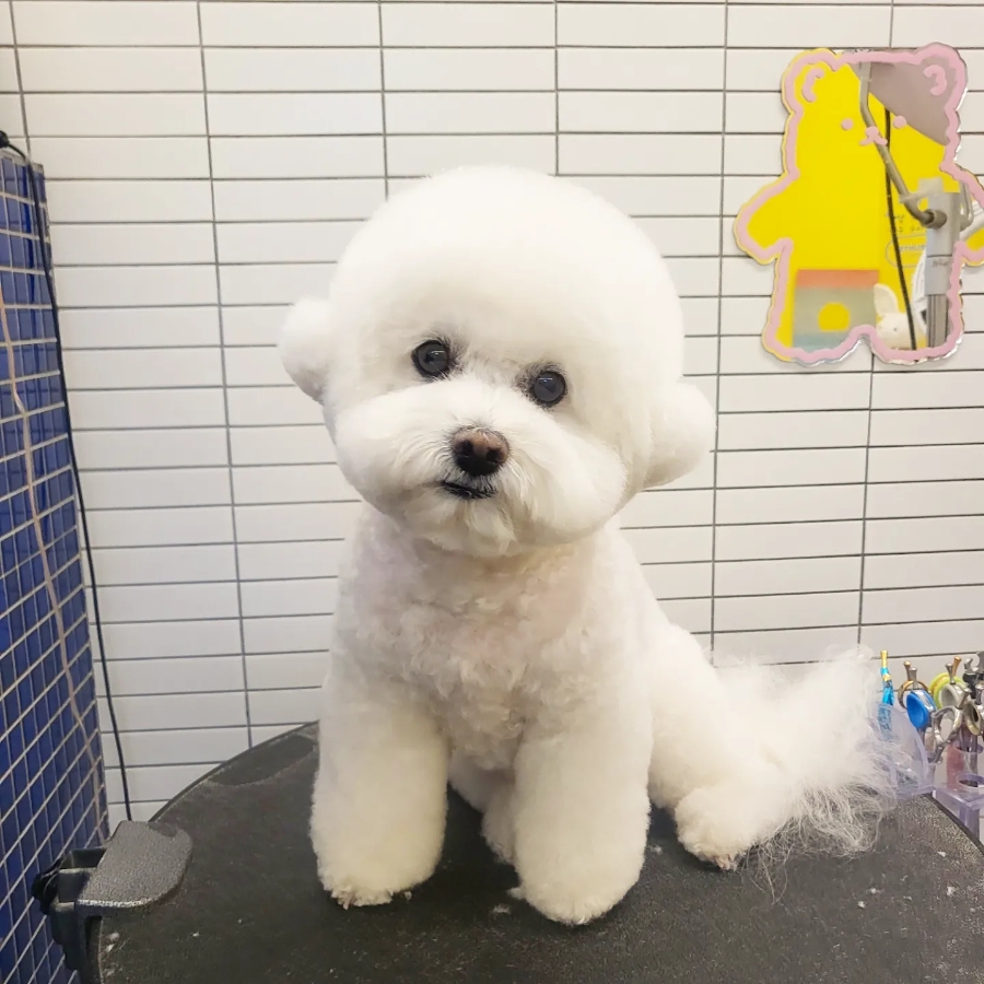 양지미용실 이미지