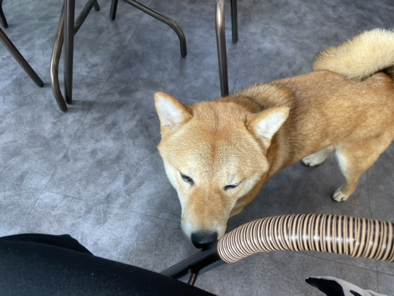 샐러드몽키24 이미지