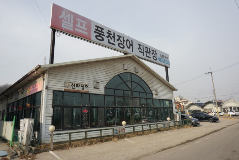 신화장어 이미지