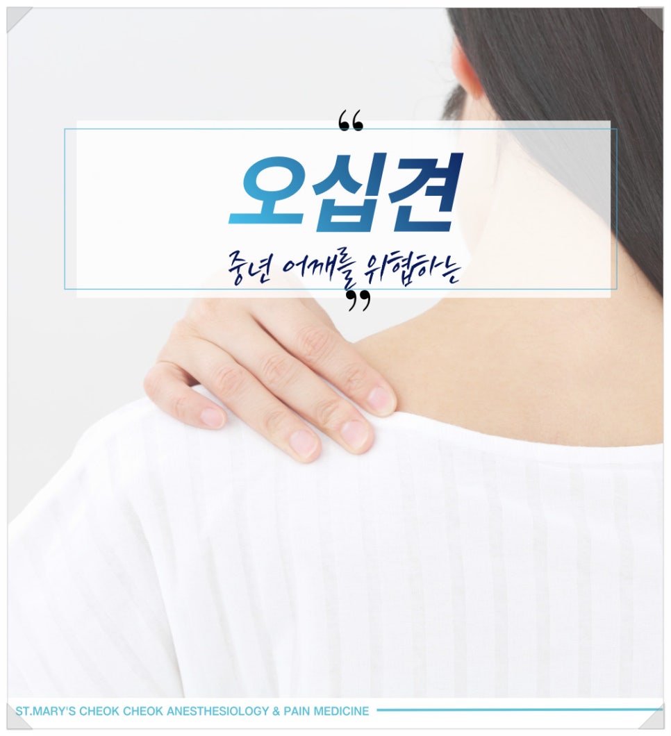 성모척척마취통증의학과의원 이미지