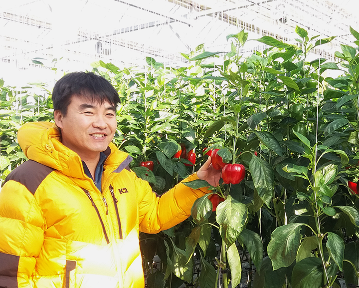 농산물대박마트 이미지