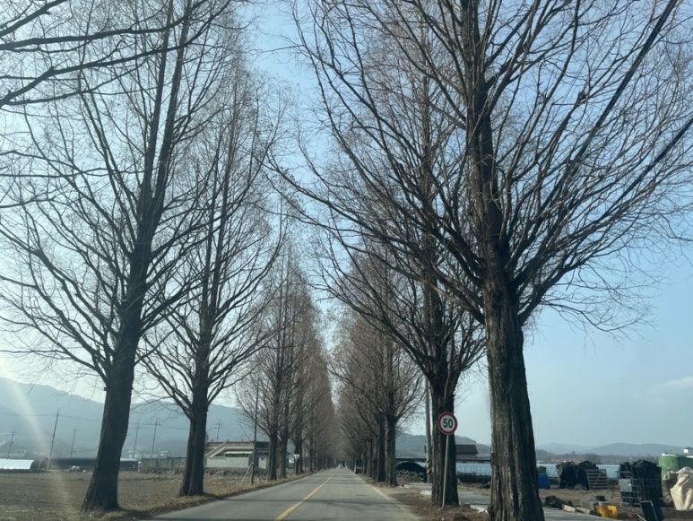 성심치과의원 이미지