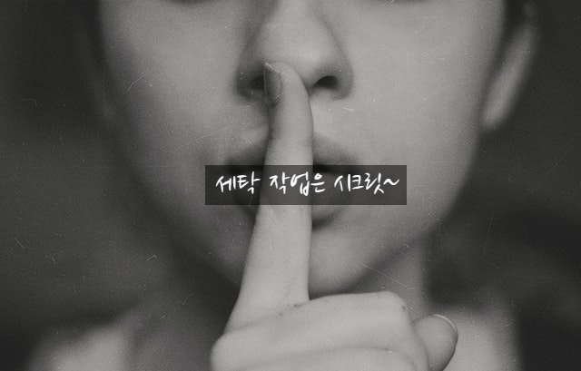 일산세탁 이미지