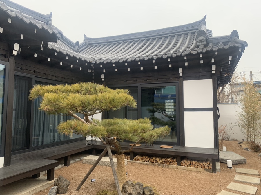 스테이자하 이미지