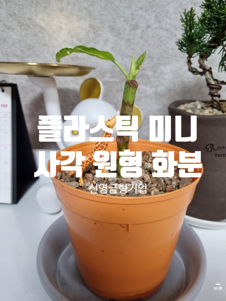 신영플라스틱 이미지