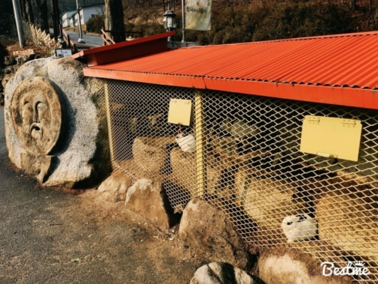 유씨네 이미지