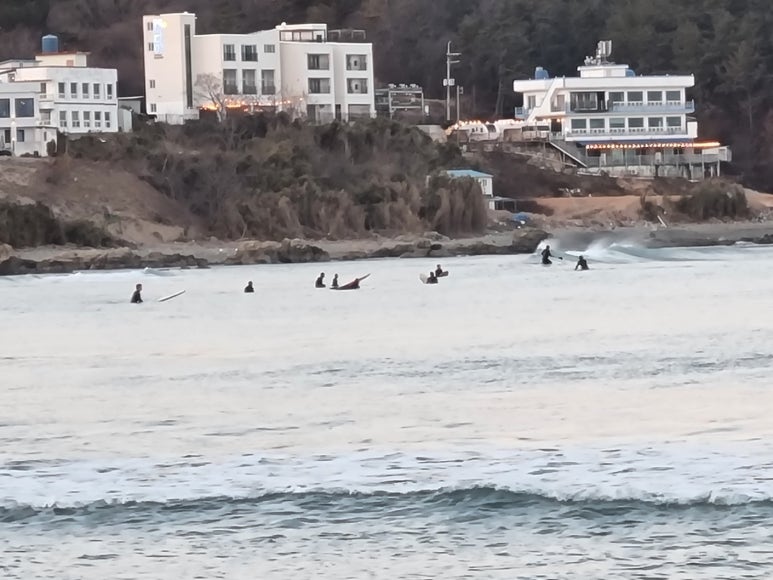 하삼동커피기장 이미지
