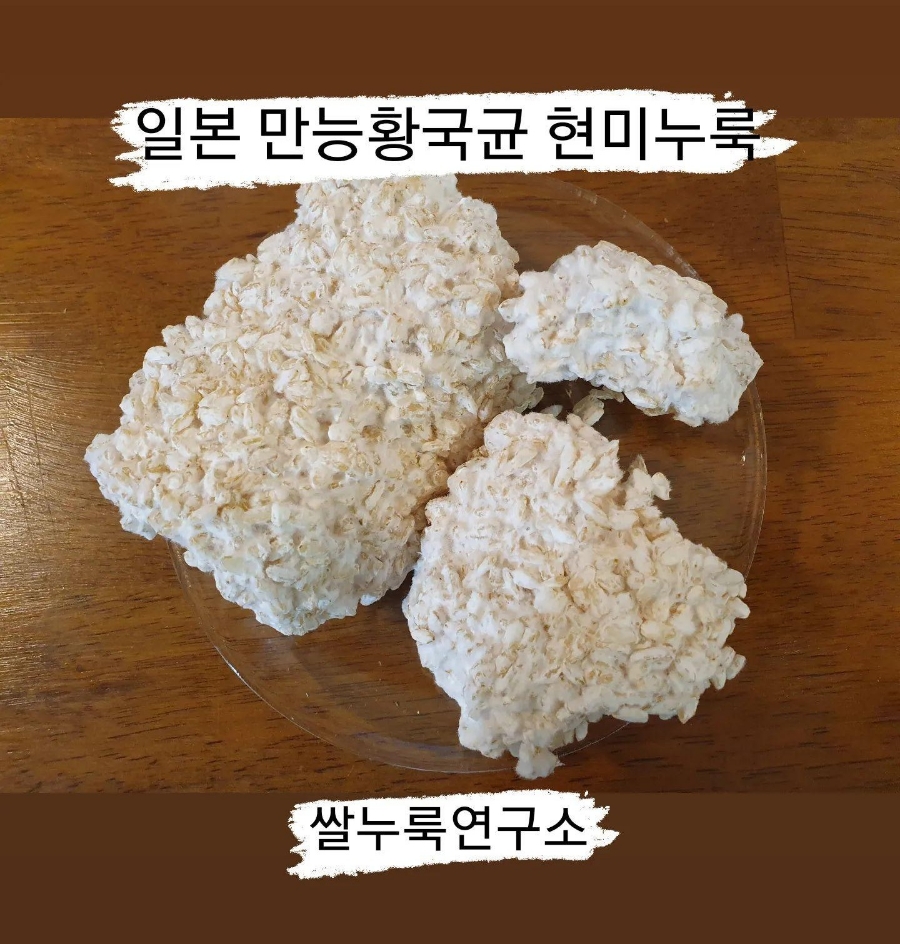 쌀누룩연구소 이미지
