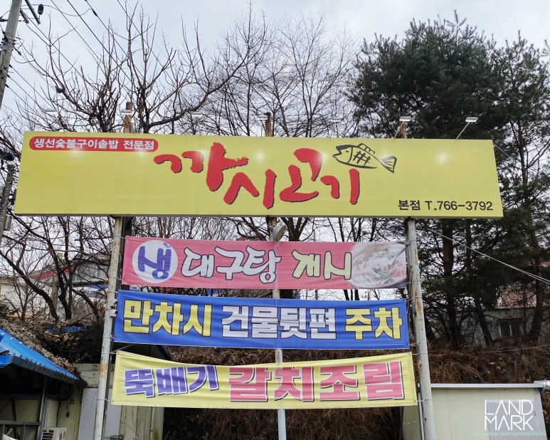 까시고기 이미지