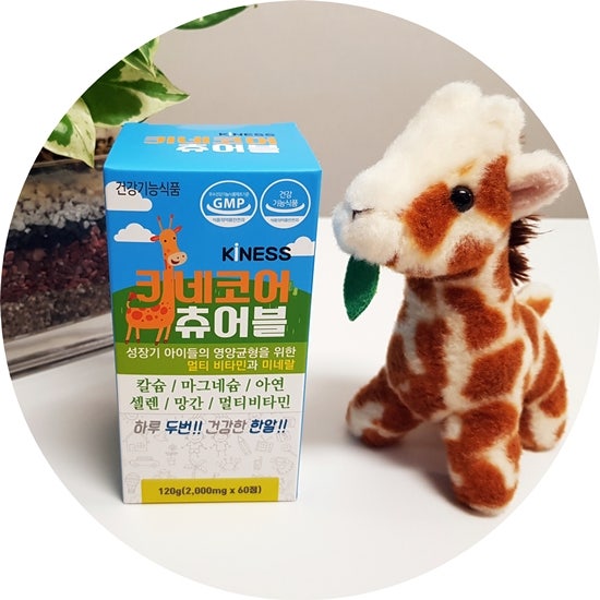 키네코어 이미지