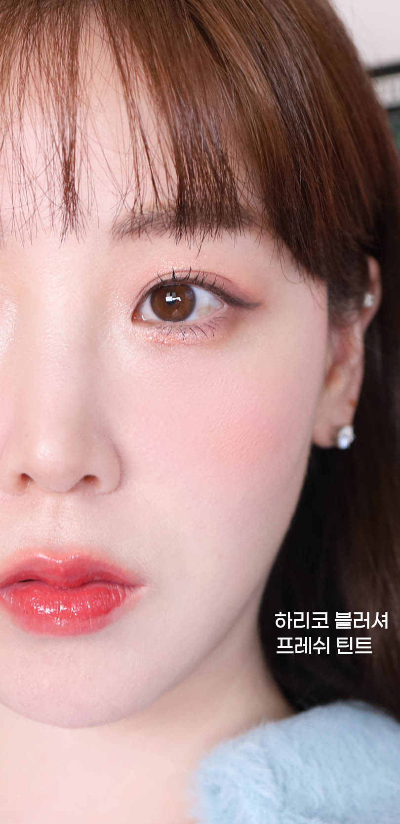 하리코 이미지