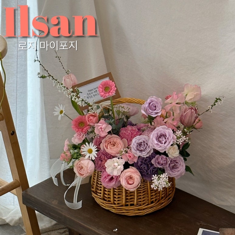 로지마이포지 이미지